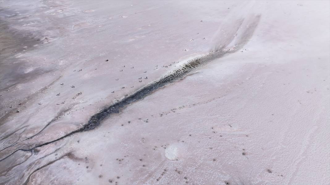Kavurucu sıcaklar Tuz Gölü'nü kızarttı! Bakteriler cirit atıyor 18